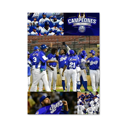 Poster Celebration des Tigres