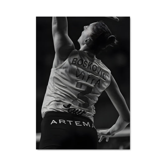 Poster Tijana boskovic 75029