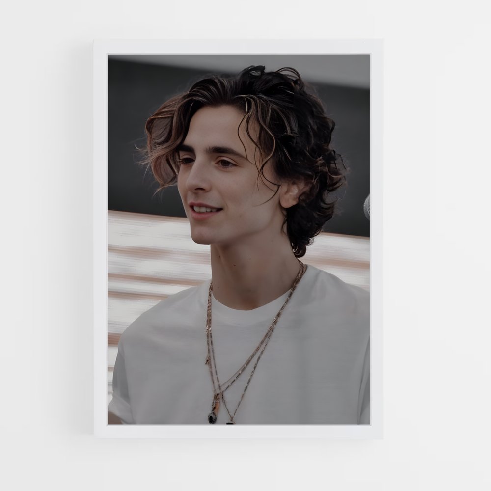 ap-timothee chalamet-5 cadre Blanc