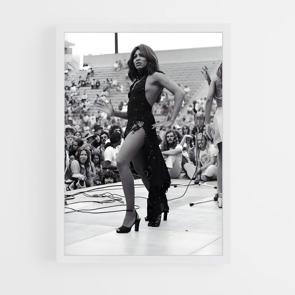 ap-tina turner-7 cadre Blanc