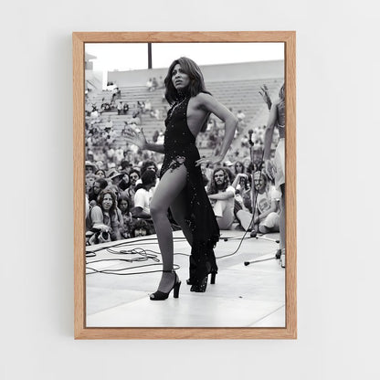ap-tina turner-7 cadre Bois clair