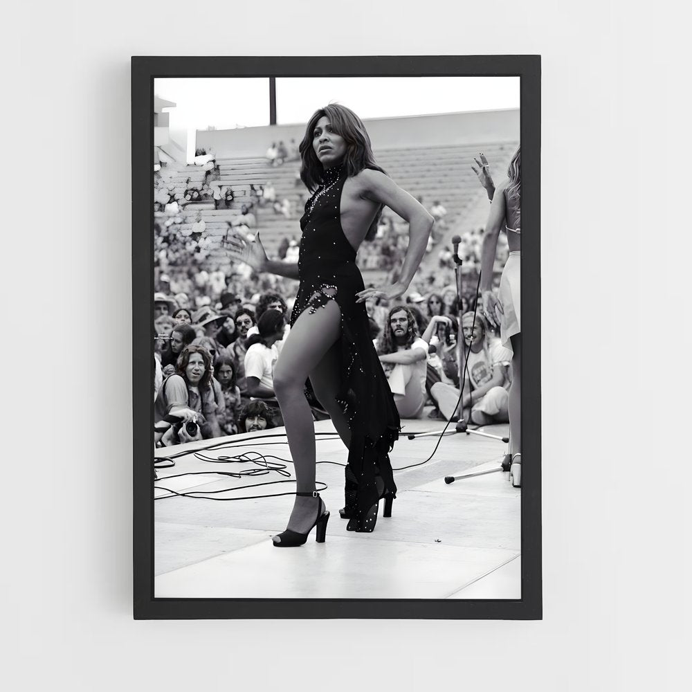 ap-tina turner-7 cadre Noir