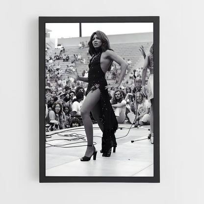 ap-tina turner-7 cadre Noir