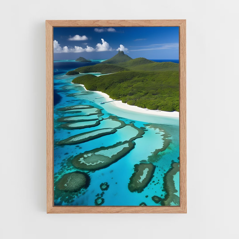 ap-tobago cays marine park-3 cadre Bois clair