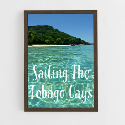 ap-tobago cays marine park-5 cadre Bois foncé
