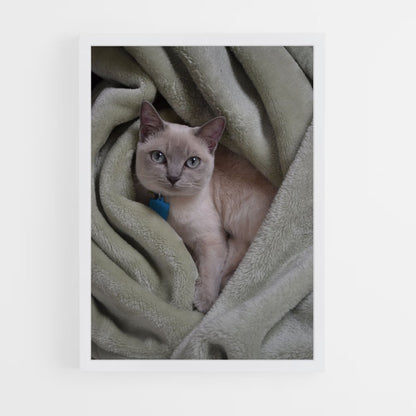 ap-tonkinese-2 cadre Blanc