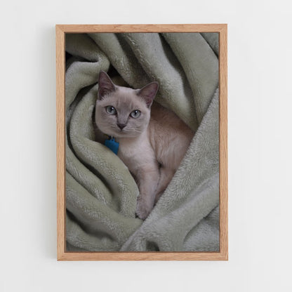 ap-tonkinese-2 cadre Bois clair