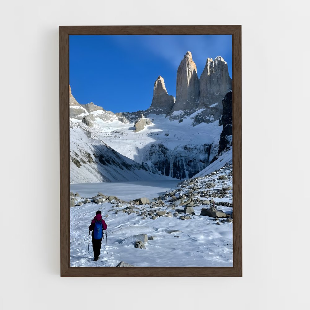 ap-torres del paine-8 cadre Bois foncé