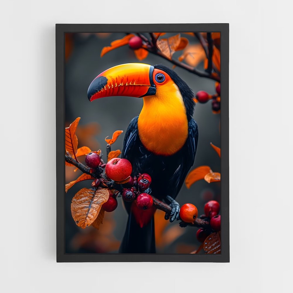 ap-toucan-10 cadre Noir