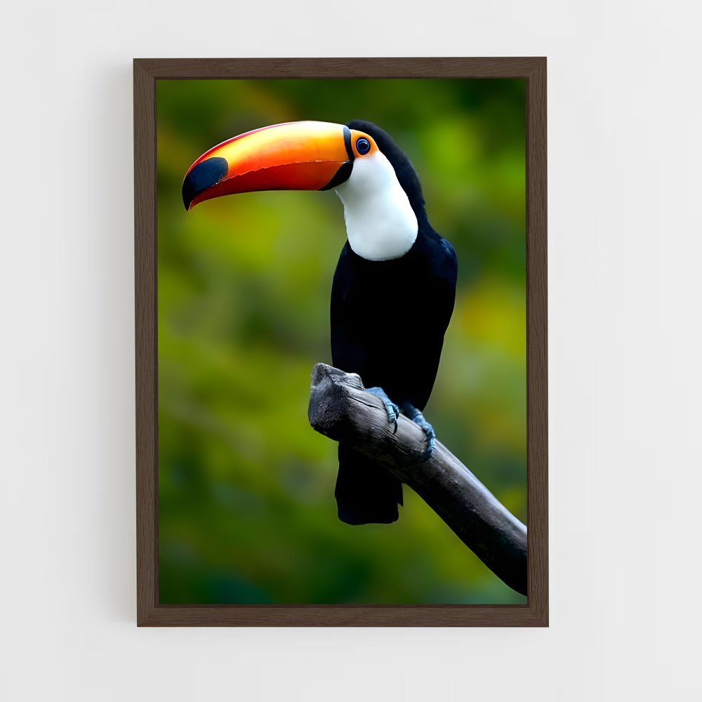 ap-toucan-4 cadre Bois foncé