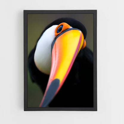 ap-toucan-7 cadre Noir