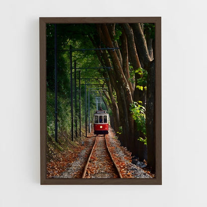 ap-trams-5 cadre Bois foncé