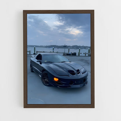 ap-trans am ws6-1 cadre Bois foncé