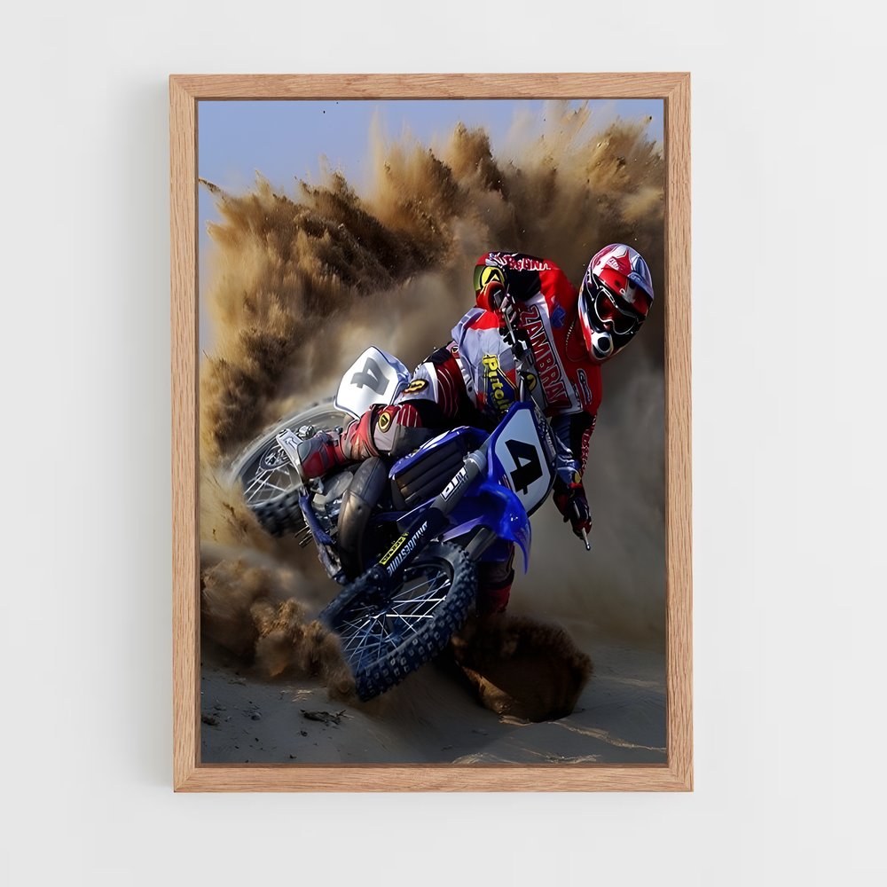 ap-travis pastrana-4 cadre Bois clair