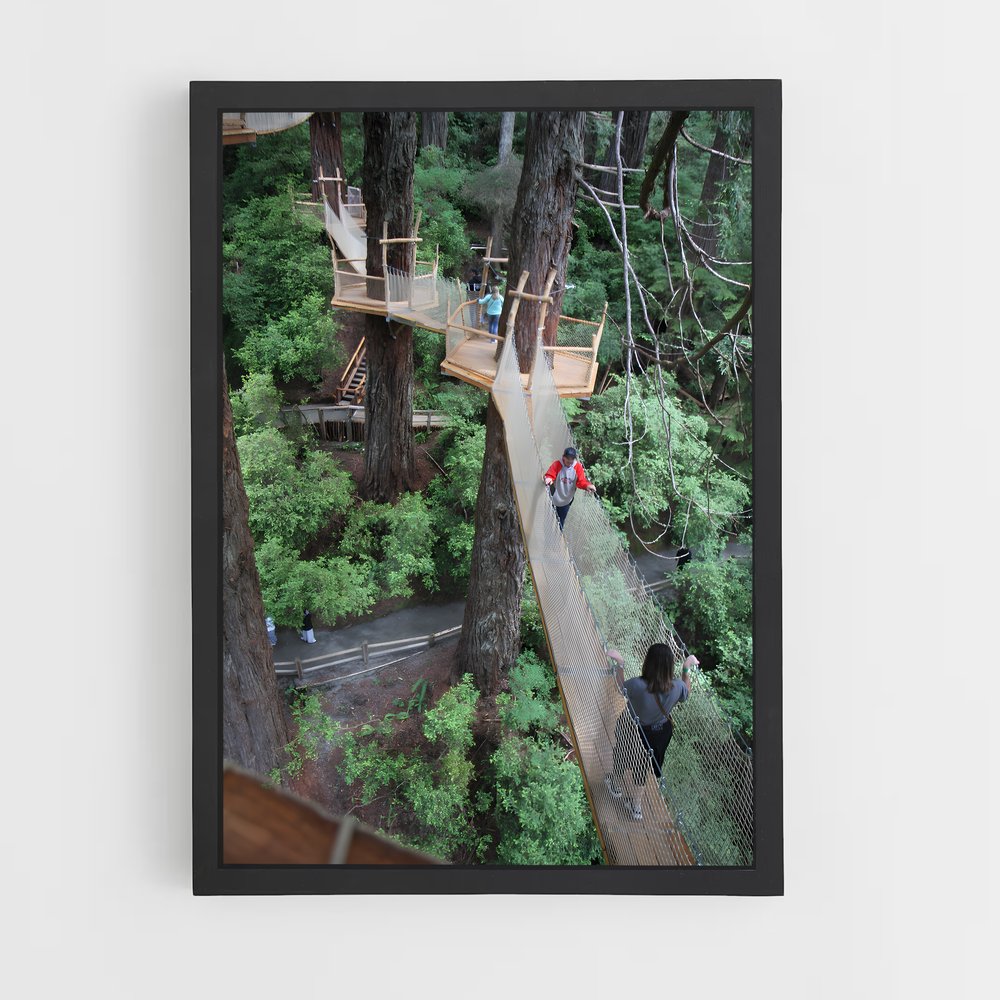 ap-tree canopy-8 cadre Noir