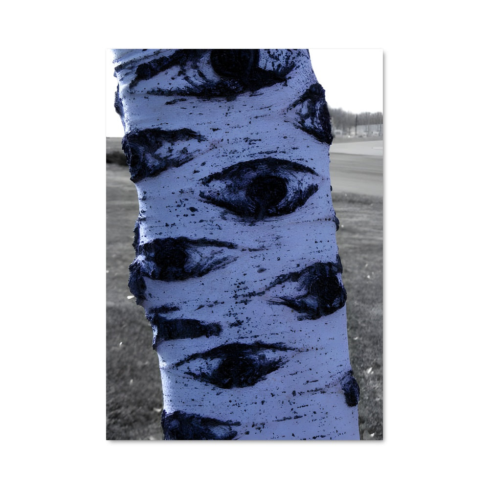 Poster Écorce Éternelle