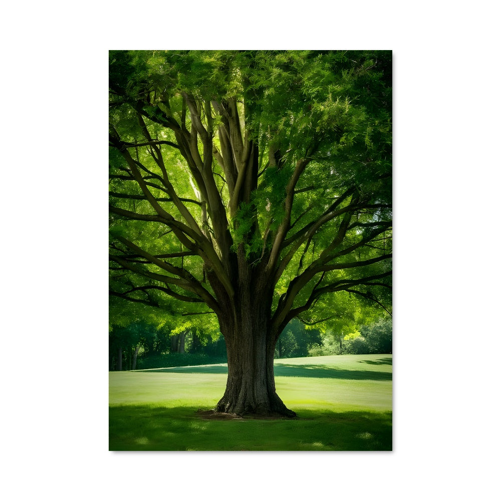 Poster Trees 96900