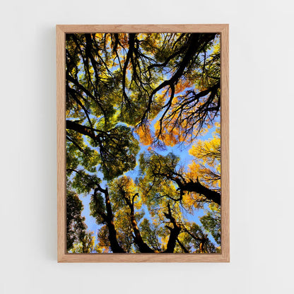ap-trees-9 cadre Bois clair
