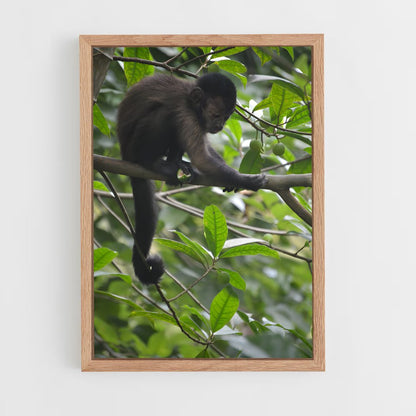 ap-tresor nature reserve-1 cadre Bois clair