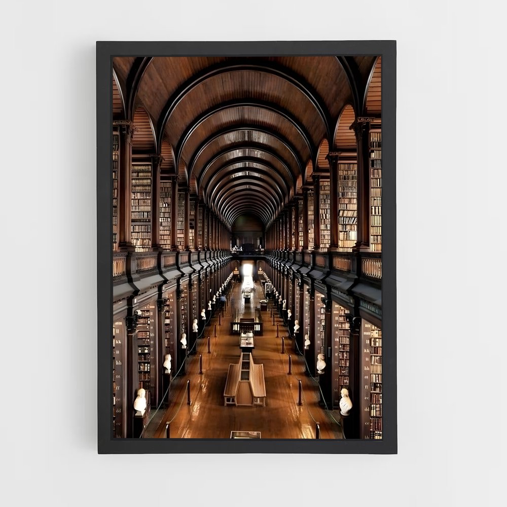 ap-trinity college dublin-3 cadre Noir