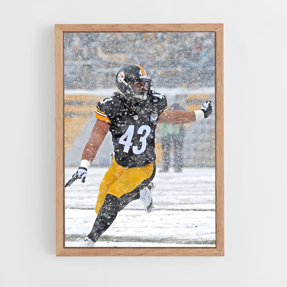 ap-troy polamalu-2 cadre Bois clair