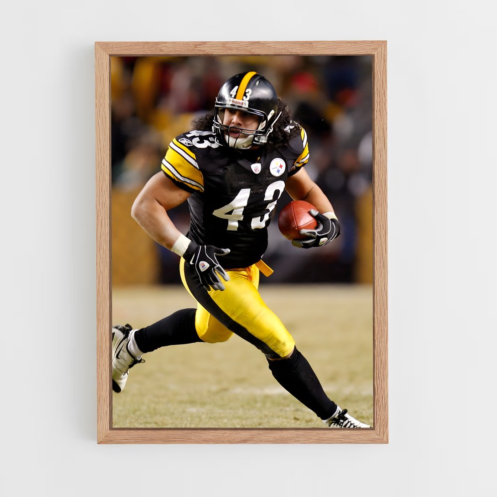 ap-troy polamalu-7 cadre Bois clair