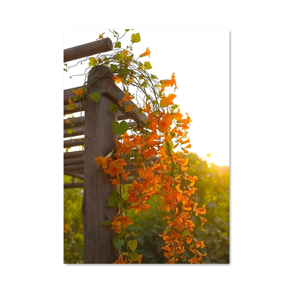 Poster Vigne Enflammée