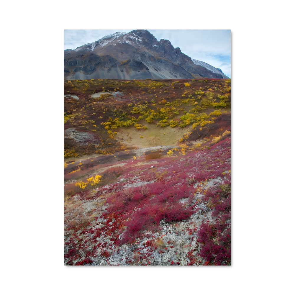 Poster Montagne Éclatante