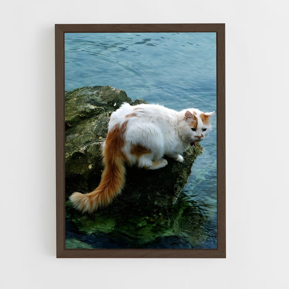 ap-turkish van-1 cadre Bois foncé