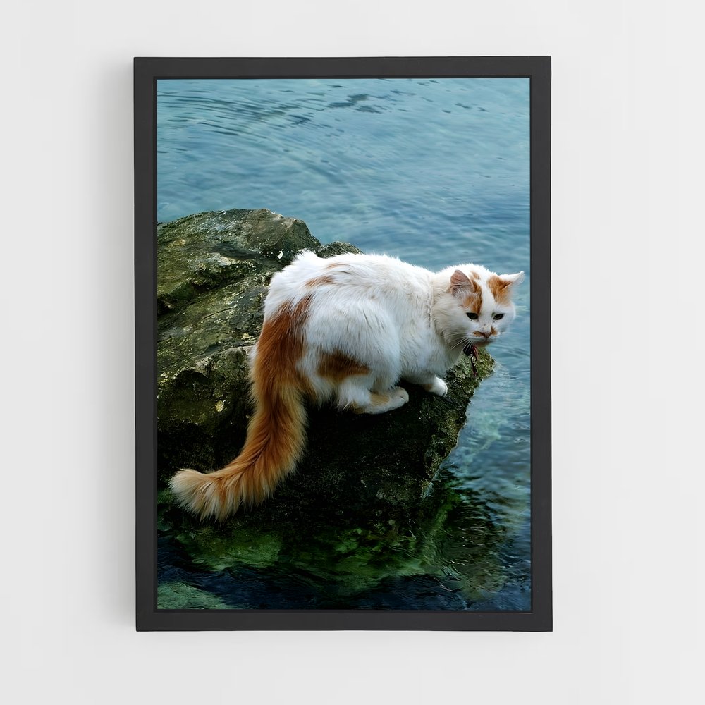 ap-turkish van-1 cadre Noir