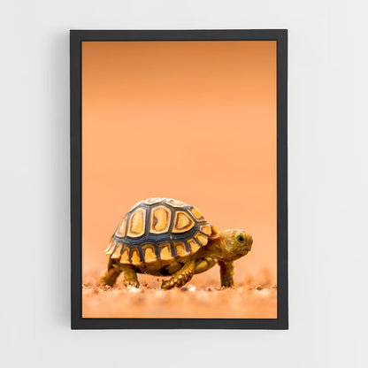 ap-turtle-5 cadre Noir
