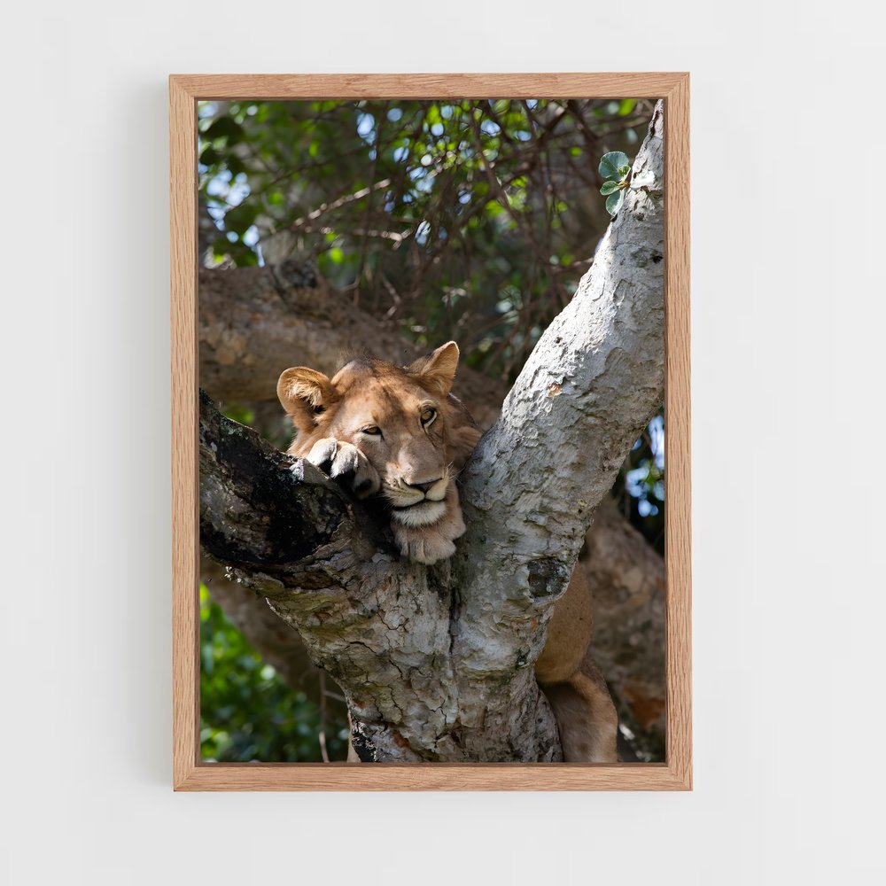 ap-uganda-5 cadre Bois clair