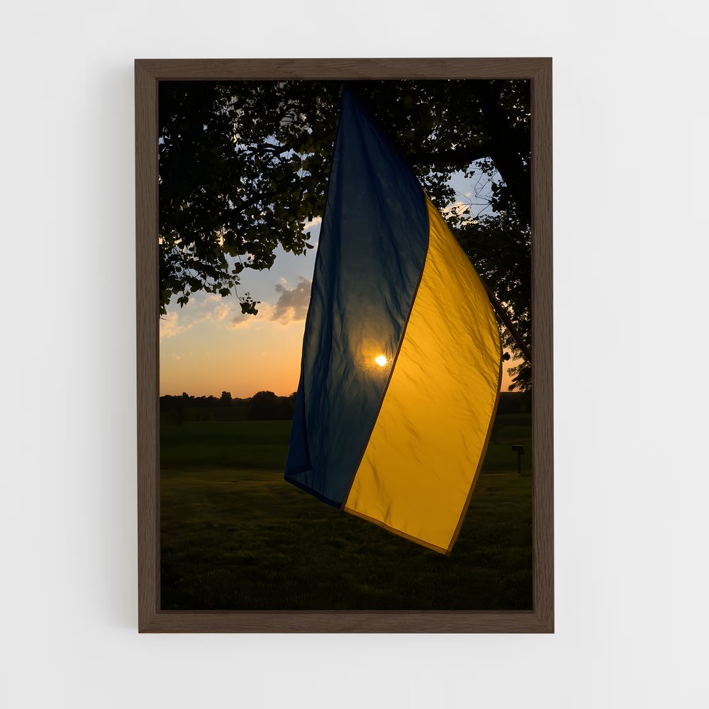 ap-ukraine-11 cadre Bois foncé