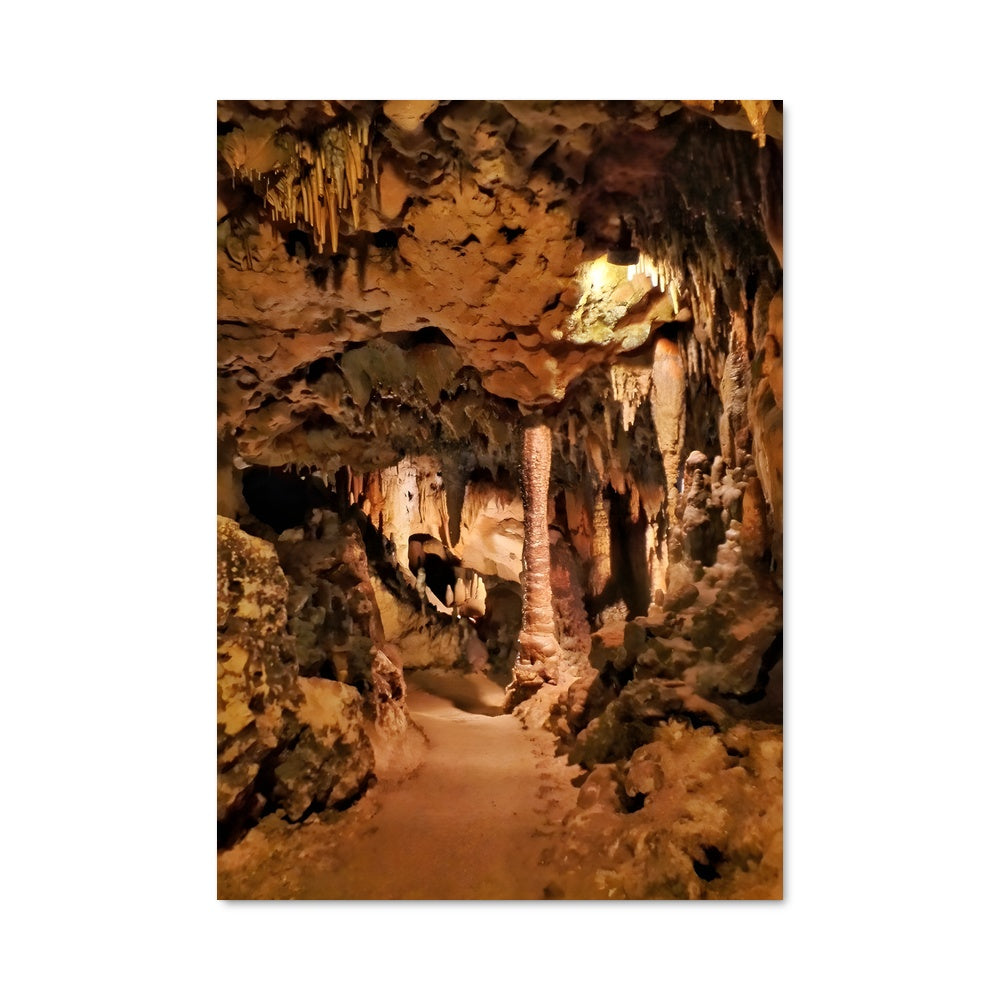 Poster L'Entrée des Ombres