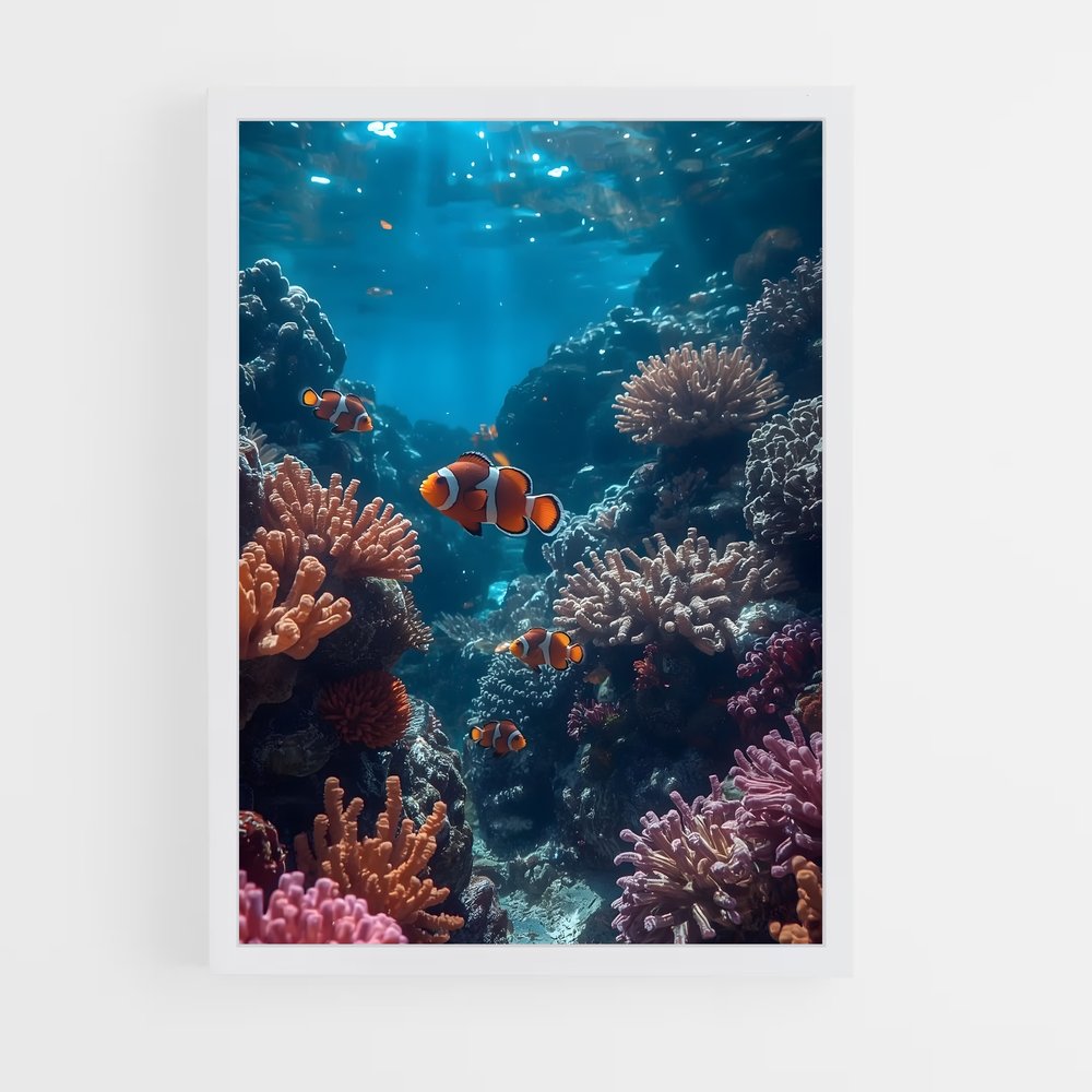 ap-underwater-17 cadre Blanc