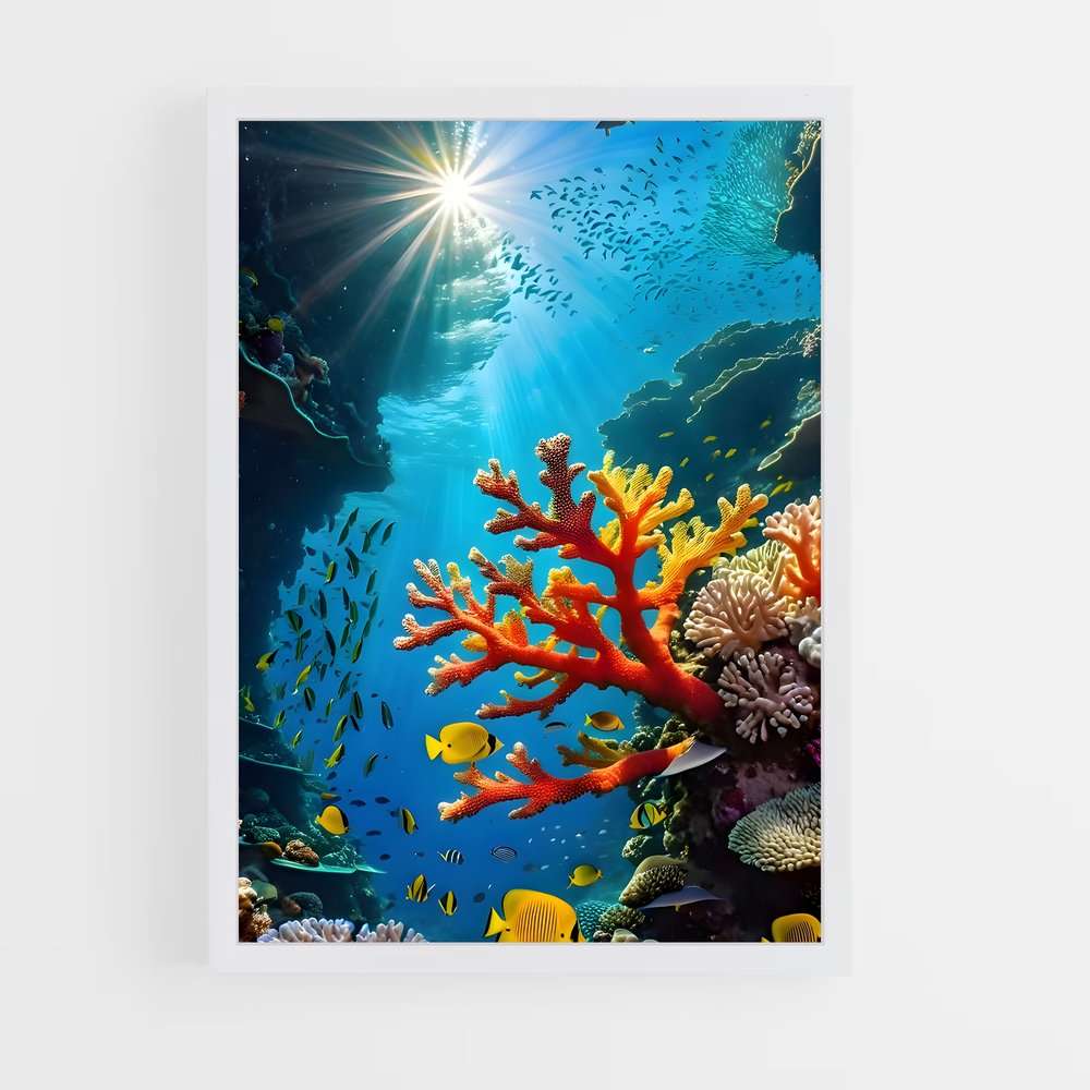 ap-underwater-20 cadre Blanc