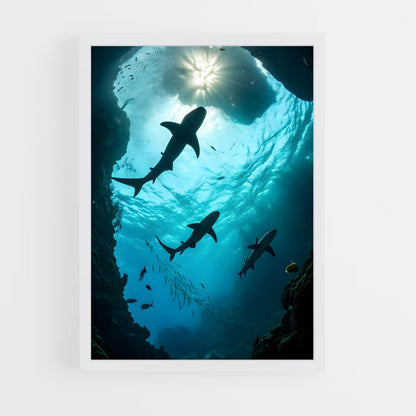 ap-underwater-6 cadre Blanc