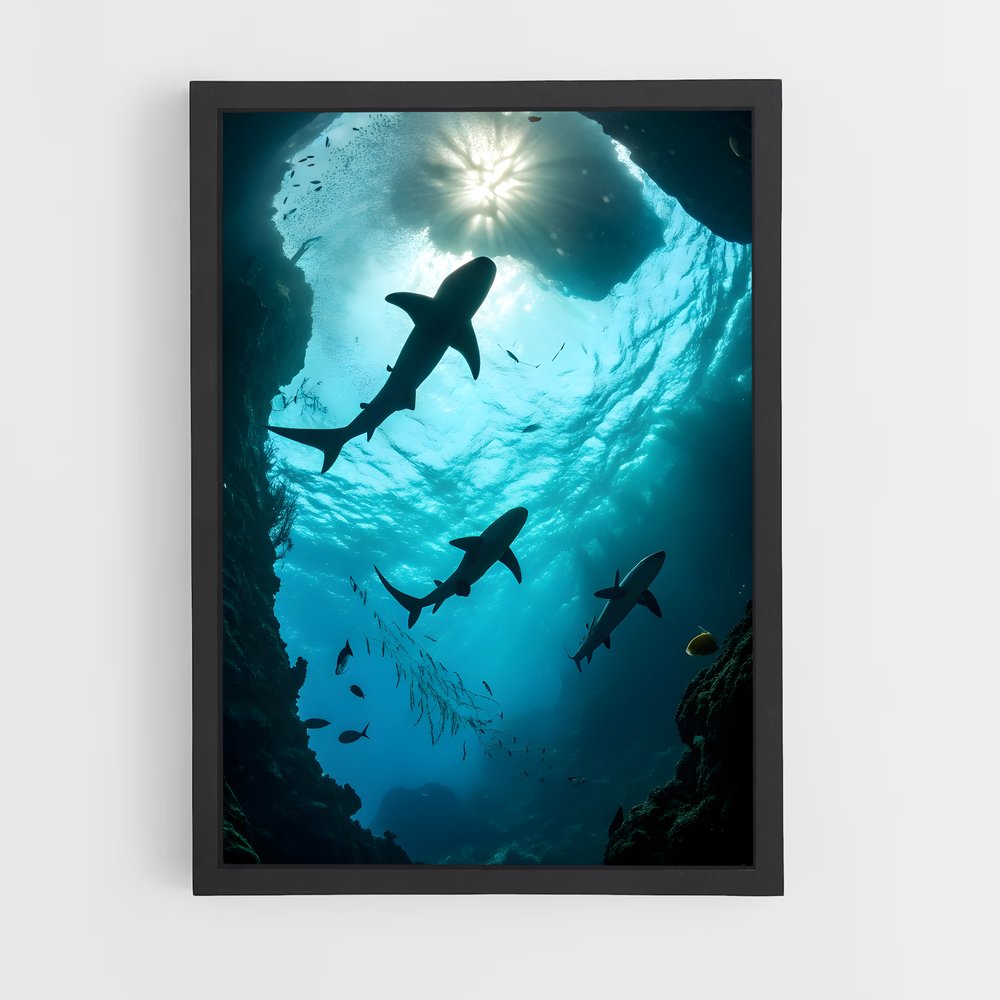 ap-underwater-6 cadre Noir