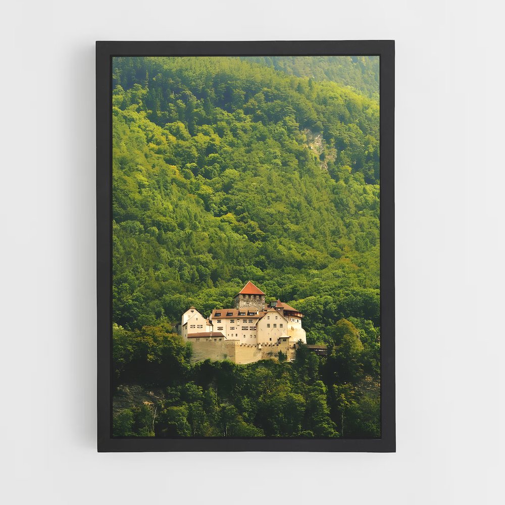 ap-vaduz castle-1 cadre Noir