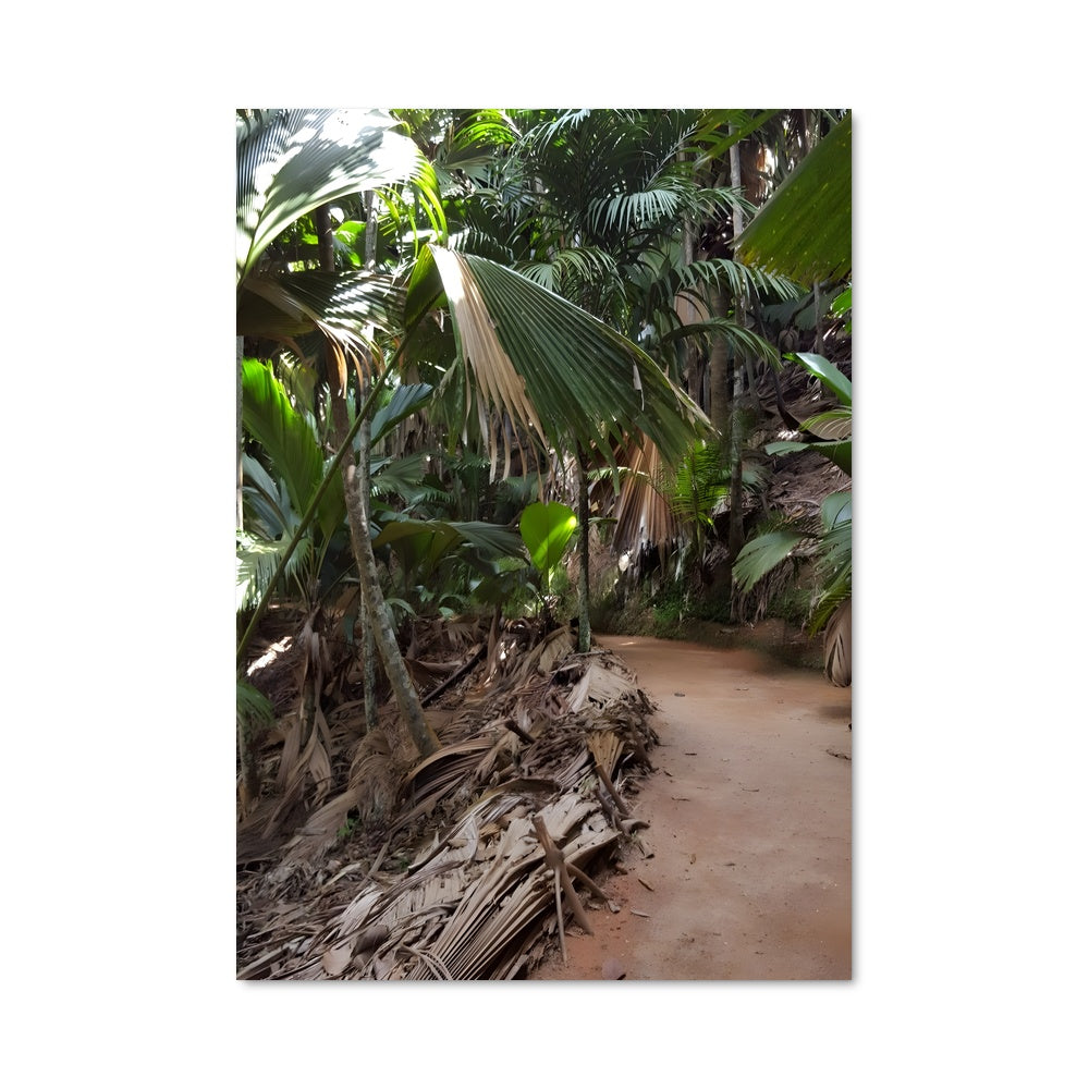 Poster Valley de mai 87108