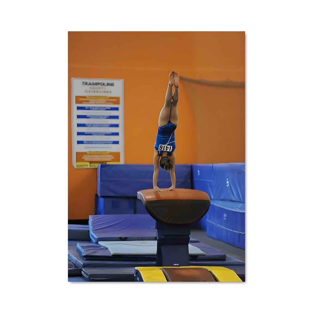 Poster Vault gymnastics 66690