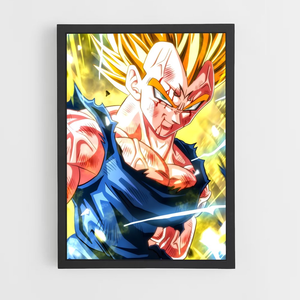ap-vegeta-9 cadre Noir