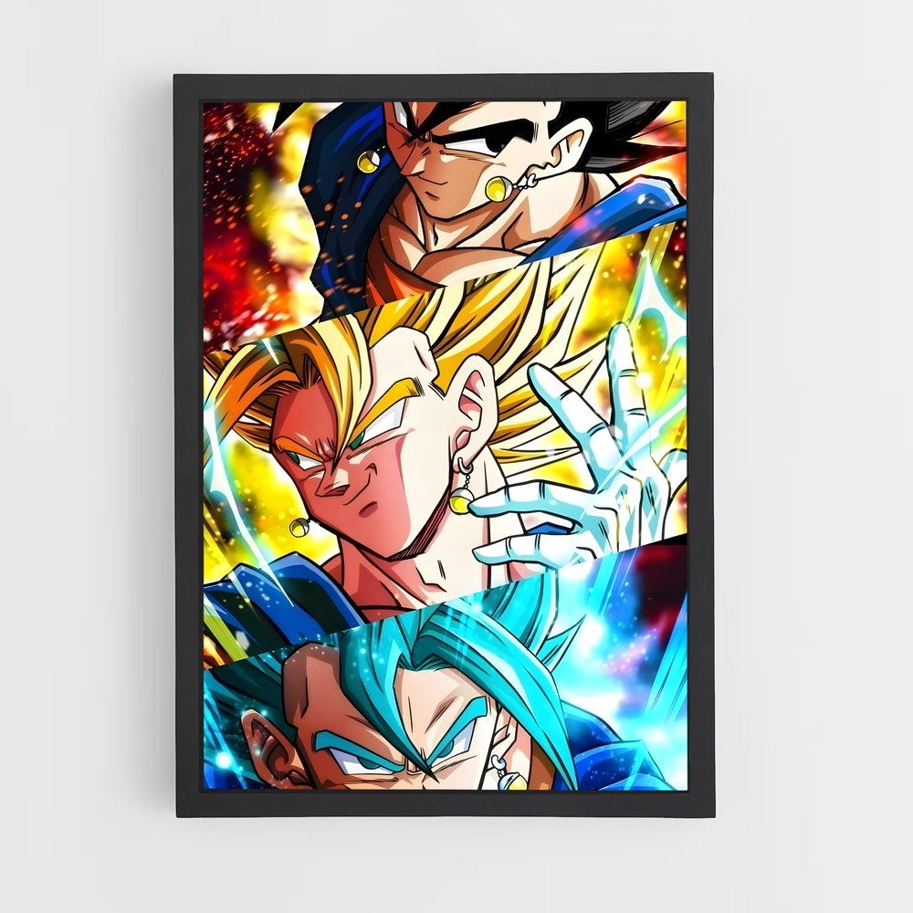 ap-vegito-2 cadre Noir