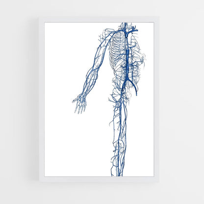 ap-vein-2 cadre Blanc