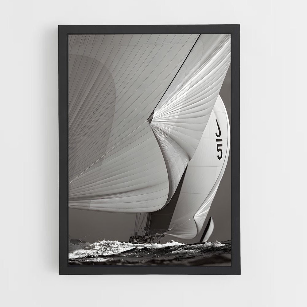 ap-velsheda-2 cadre Noir