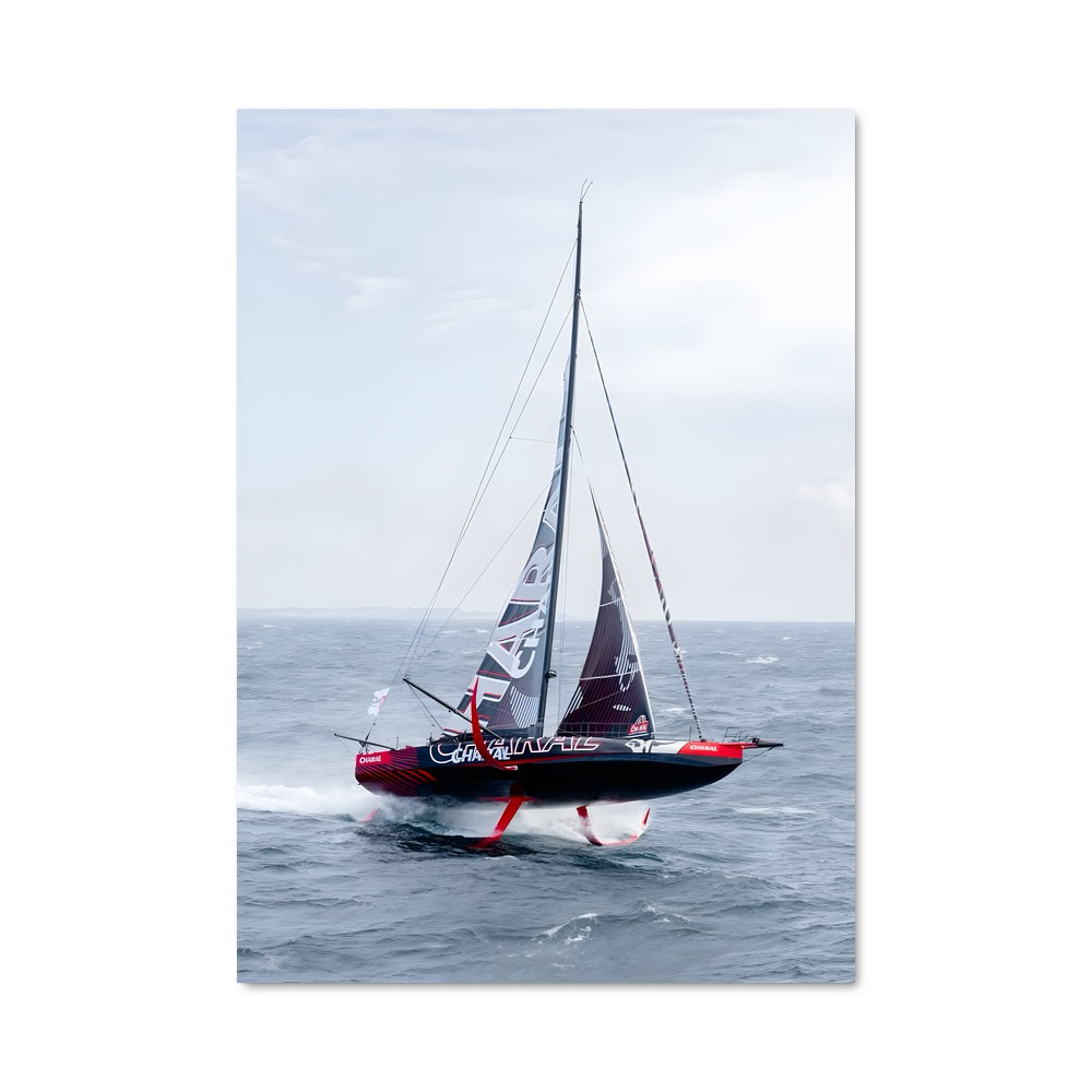 Poster Voile Écarlate