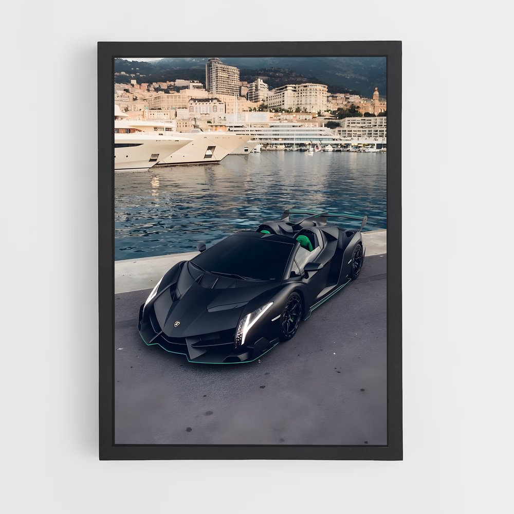 ap-veneno roadster-2 cadre Noir
