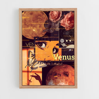 ap-venus-16 cadre Bois clair