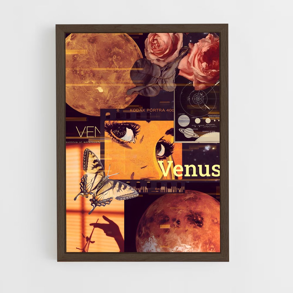 ap-venus-16 cadre Bois foncé
