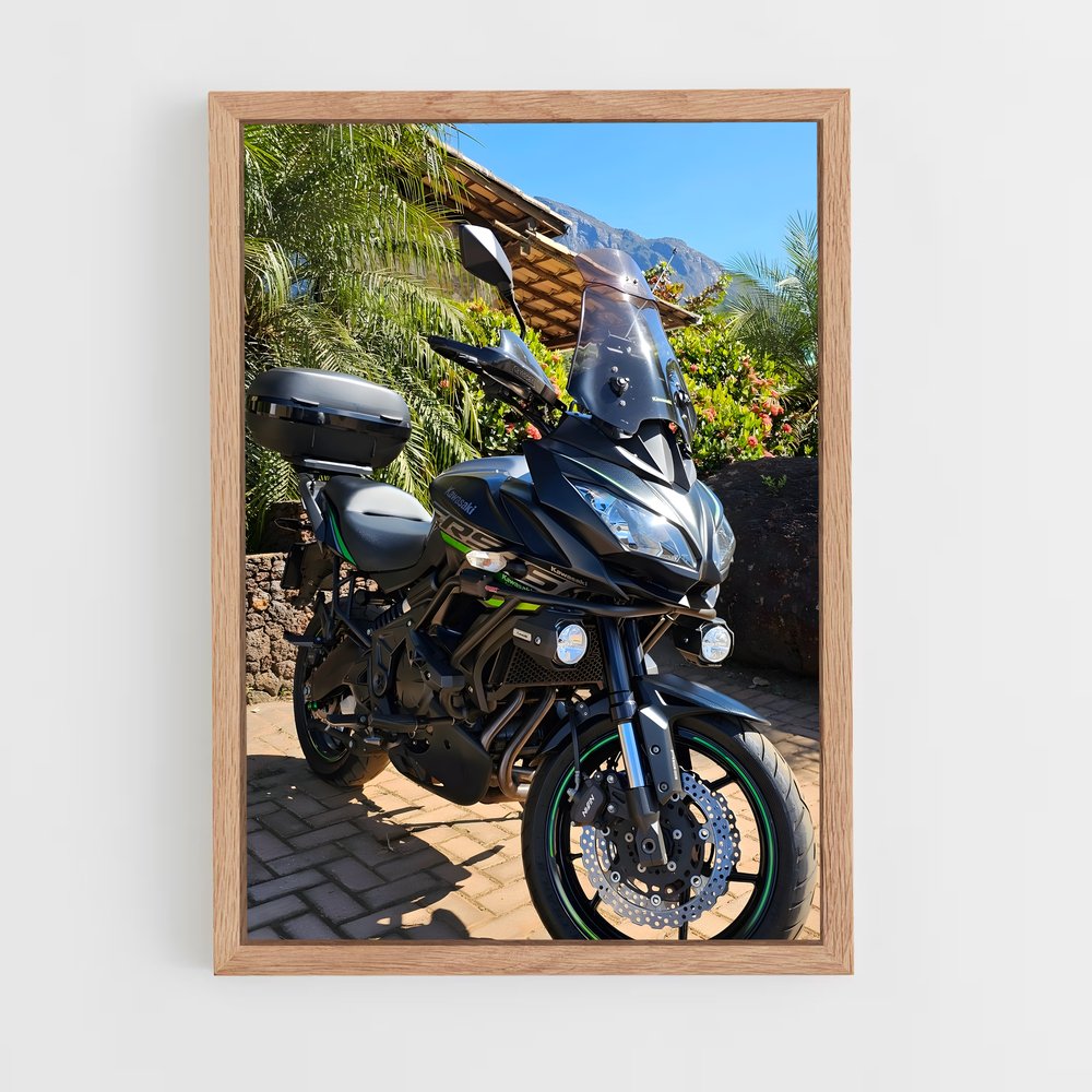 ap-versys 650-1 cadre Bois clair
